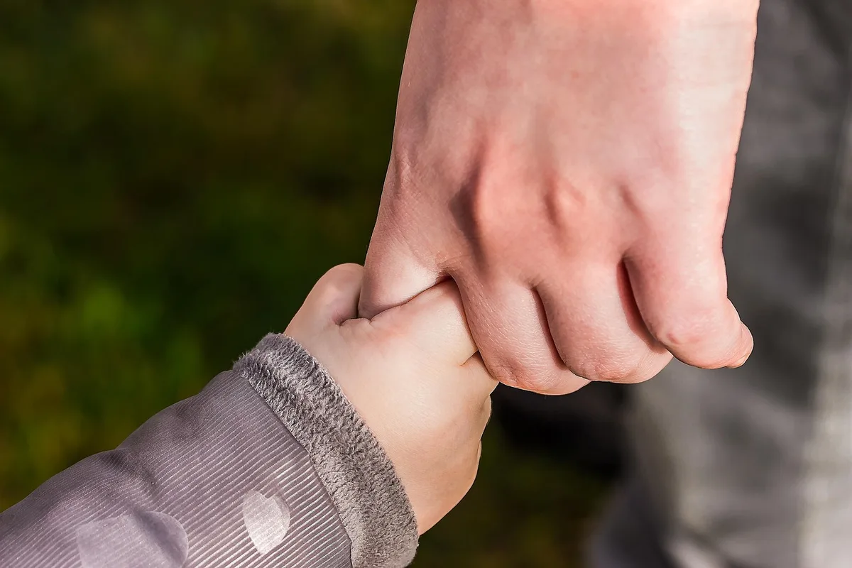 Mains d'adulte et jouet évoquant la construction progressive d'une relation de confiance